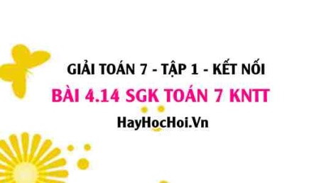 Bài 4.14 SGK Toán 7 tập 1 Kết nối tri thức